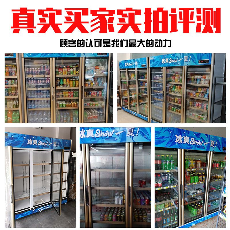 五洲伯乐(WUZHOUBOLE)LC-1088S 1050升 铜管商用展示柜 冷藏饮料柜 风直冷 侧开门 陈列柜 冷柜