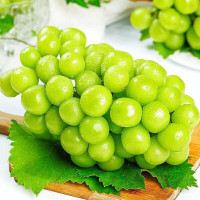 生鲜>水果>葡萄/提子>鲜木>鲜木[顺丰冷链]云南阳光玫瑰葡萄/提子原箱