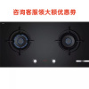 西门子 ER9SP231MP 燃气灶 天然气 带联动 家居互联 带定时
