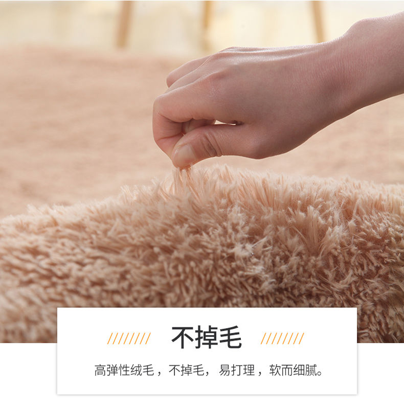 加厚地毯卧室可爱少女房间满铺网红ins风床边毯客厅茶几家用地垫