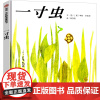 一寸虫绘本 李奥尼著小学生一年级二年级三年级正版必读图画书凯迪克奖精装儿童书籍启蒙认知故事书籍精装明天出版社非注音版