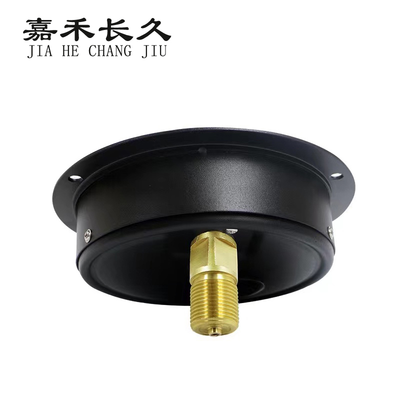 嘉禾长久 耐震精密压力表轴向带边检测定制型 YBN150ZT 块高清大图