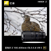 尼康 Z100-400mm f/4.5-5.6 VR S Z口微单长焦变焦镜头 打鸟镜头 全画幅镜头 77mm口径 海外版