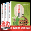 正版 全3册 中医方剂入门 奇方妙药精粹 中医诊脉入门常见病辩治 自学中医入门零基础知识简单易学中医养书籍大全