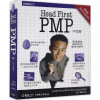深入浅出PMP:第3版