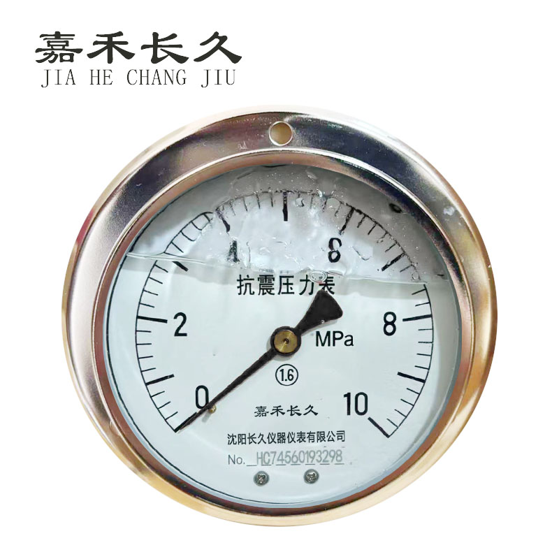嘉禾长久+耐震压力表轴向带边检测定制型+YTN100ZT+块 0-10Mpa