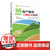 科学种菜致富问答丛书 葱高产栽培关键技术问答 大葱高产栽培技术细香葱栽培技术葱病虫草害防治技术葱贮藏保鲜与加工技术图书籍