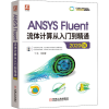 音像ANSYS Fluent流体计算从入门到精通 2020版丁伟 等 编