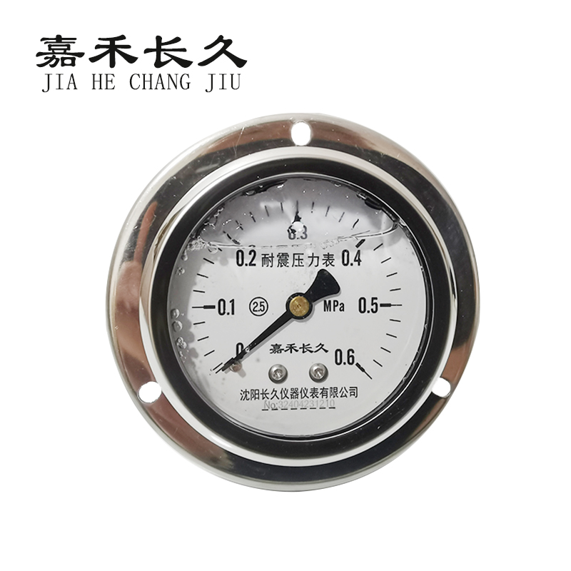 嘉禾长久/耐震压力表轴向带边/ YN60ZT/个 0-0.6MPa