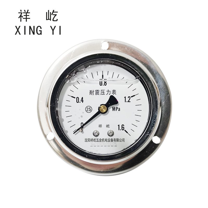 祥屹+耐震压力表轴向带边检测定制型+YTN60ZT+块 0-1.6Mpa