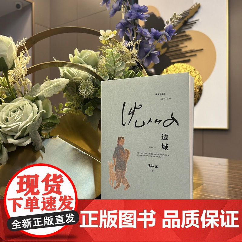 边城-沈从文读库-画家蔡皋绘制封面插画-平装,内外双封