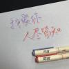 827彩色柔绘笔软头画画brush秀丽笔手账涂鸦书法做笔记