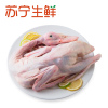 [苏宁生鲜]农百鲜绿头野鸭1kg