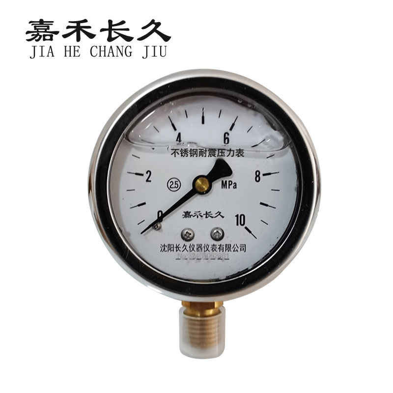 嘉禾长久+不锈钢耐震压力表检测定制型+YN60BF+块 0-10Mpa