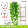 仿真金钟柳客厅墙面装饰室内绿植壁挂花假花藤条垂吊植物吊兰藤蔓 纯色绿萝吊兰1束(送三角篮