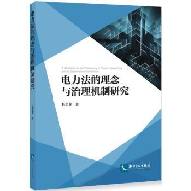 音像电力法的理念与治理机制研究赵忠龙著