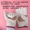 防咬手套松鼠飞鼠蜜袋鼯土巴鼠仓鼠猫狗狗防抓咬加厚手套宠物用品 加厚帆布手套