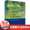 人工湿地设计要点及案例分析 盛晟9787030740304科学出版社