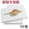 油性彩铅绘画专用纸4k8k开彩铅纸彩色铅笔a3a4手绘彩铅专用纸