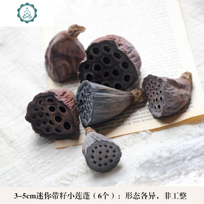 松果装饰带籽干莲蓬天然干花 幼儿园干树枝森系材料包松塔 封后 3-5cm迷你带籽莲蓬6个 干树枝
