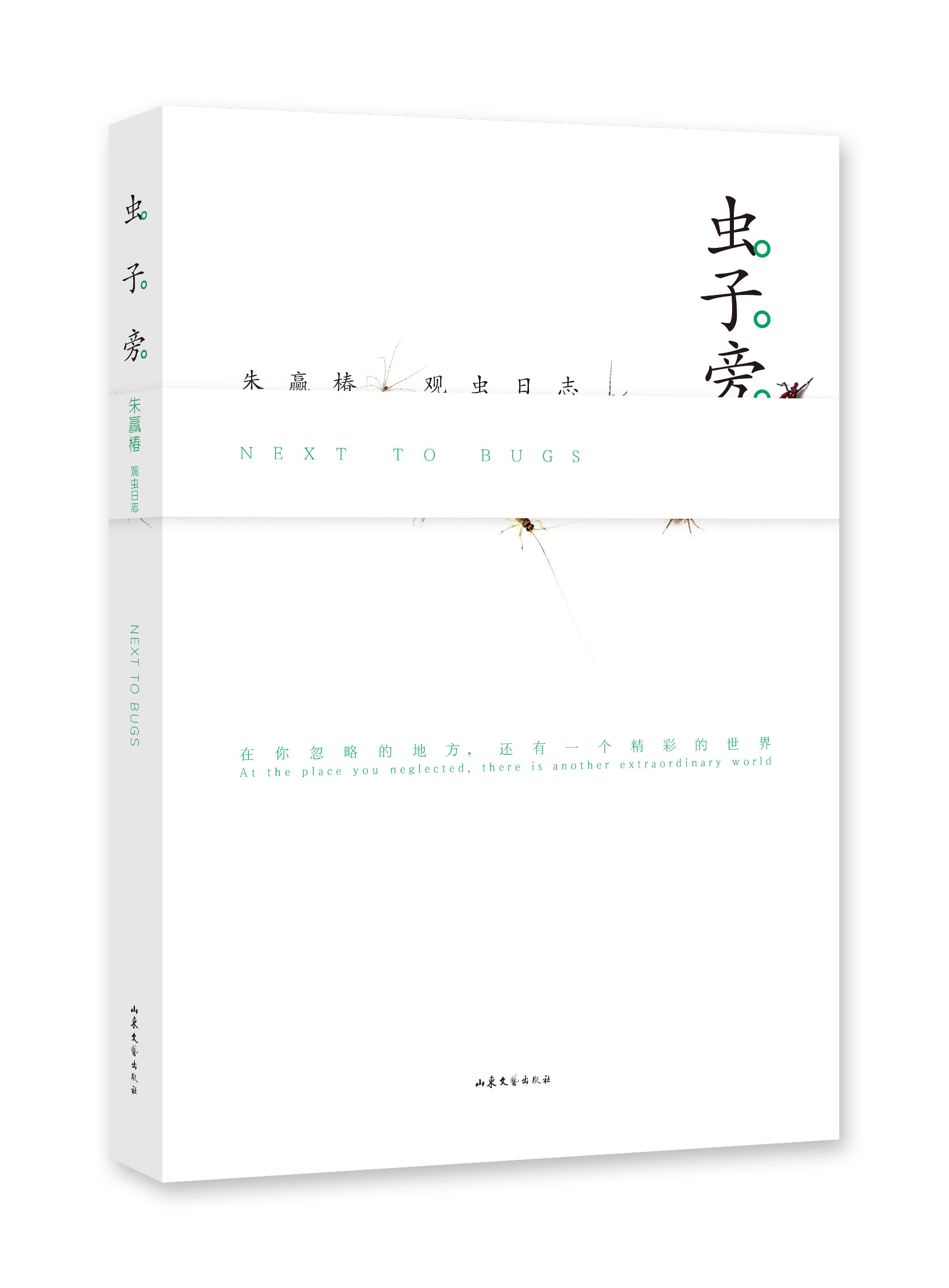 [正版]书店 书籍 虫子旁 朱赢椿观虫日志 高清摄影生动手绘优美散文细腻描绘虫子的趣味世界科普完整经典版当代文学作品高清大图