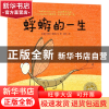 正版 蜉蝣的一生/海豚绘本花园 (法)史蒂芬·塞内格|译者:袁筱一|