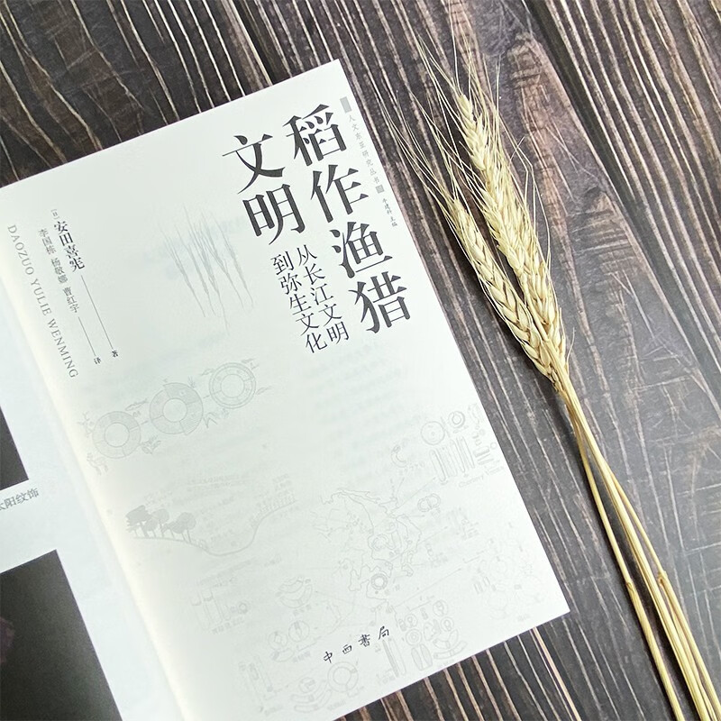 [正版]稻作渔猎文明 从长江文明到弥生文化人类学实践丛书中西书局出版 畜牧文明与稻作渔猎文明的对比中,重新思考人类文明史高清大图