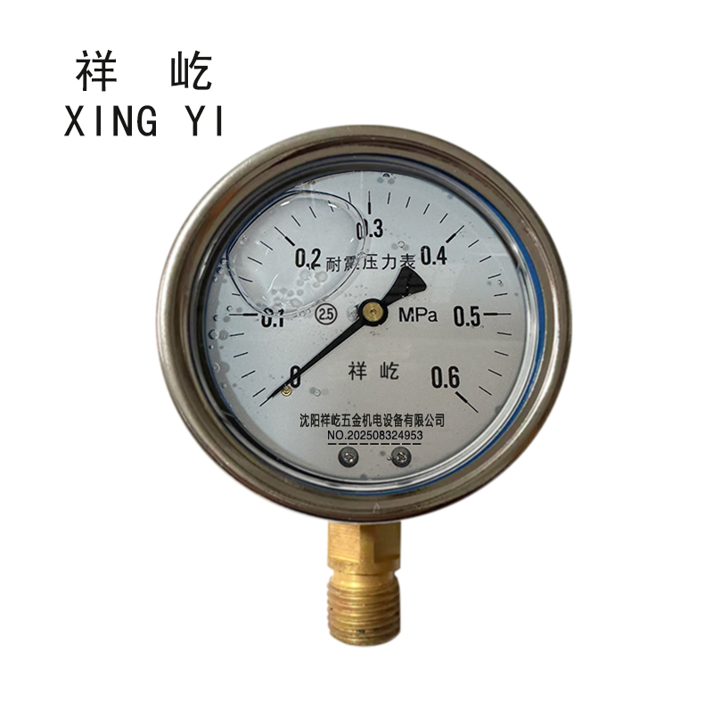 祥屹 耐震压力表 YN60 块 0-0.6MPa