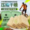 M压缩干粮秦皇岛海试军迷户外单兵口粮压缩饼干 5 包 [买3份送2包M13饼干]