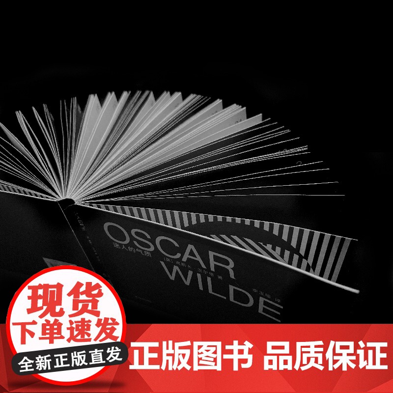 迷人的气质(王尔德金句精选集,李梦,《岛上书店》译者全新译作) 奥斯卡·王尔德 上海文艺出版社 正版书籍高清大图