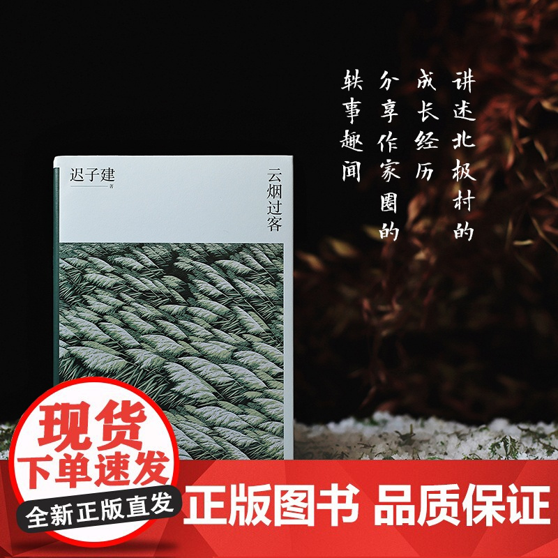 云烟过客 迟子建散文系列 新版 中国现当代随笔传记名家经典散文集作品选集 青少年课外阅读精选文学书籍 正版书籍