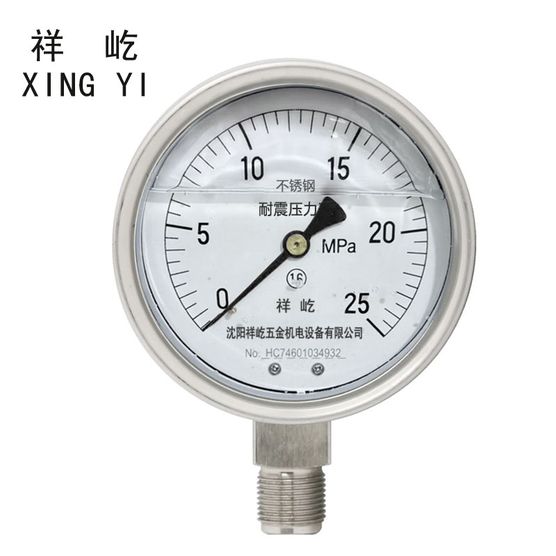 祥屹 不锈钢耐震压力表检测定制型 YTN100BF 块 0-25Mpa