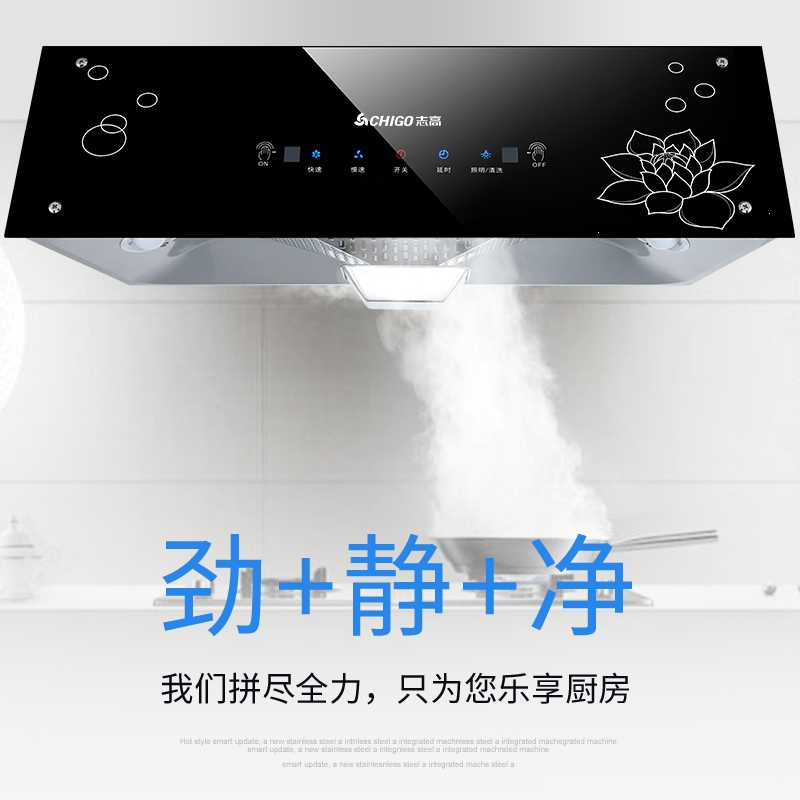 志高家用租房顶吸式中式烟机厨房脱排小型吸油烟机壁挂大吸力H093C
