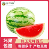 [五个农民]红玉无籽西瓜麒麟西瓜5斤新鲜水果