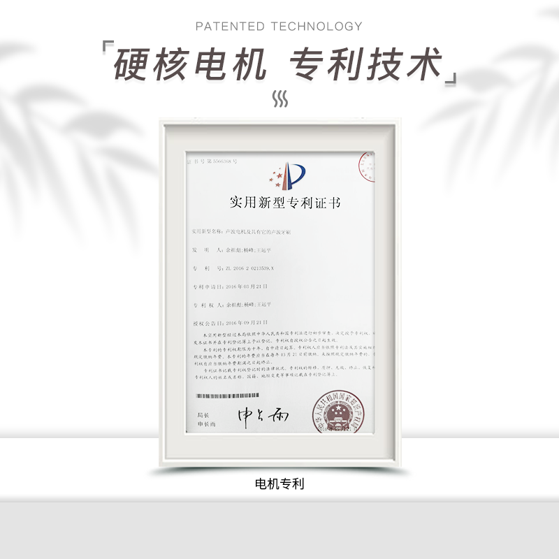 舒客电动牙刷成人男女软毛声波充电式全自动学生情侣套装T2白色标配版