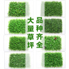 18新款仿真植物墙绿植墙背景墙人造坪假皮绿色塑料阳台壁挂装饰室内杏色红掌