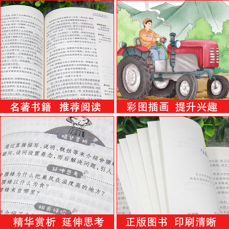 拉封丹寓言(4件以上7.5折) [正版]雷锋的故事全集完整版小学生二三四年级阅读课外书籍 青少年版 快乐读书吧必读老师