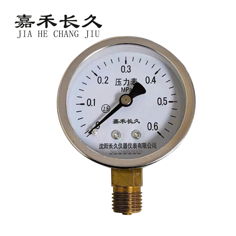 嘉禾长久/压力表/Y60 /个高清大图