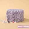 家用加热焗油帽三挡蒸发帽电热帽子蒸汽头发护理帽女染发护发浴帽 [特价款]无内胆