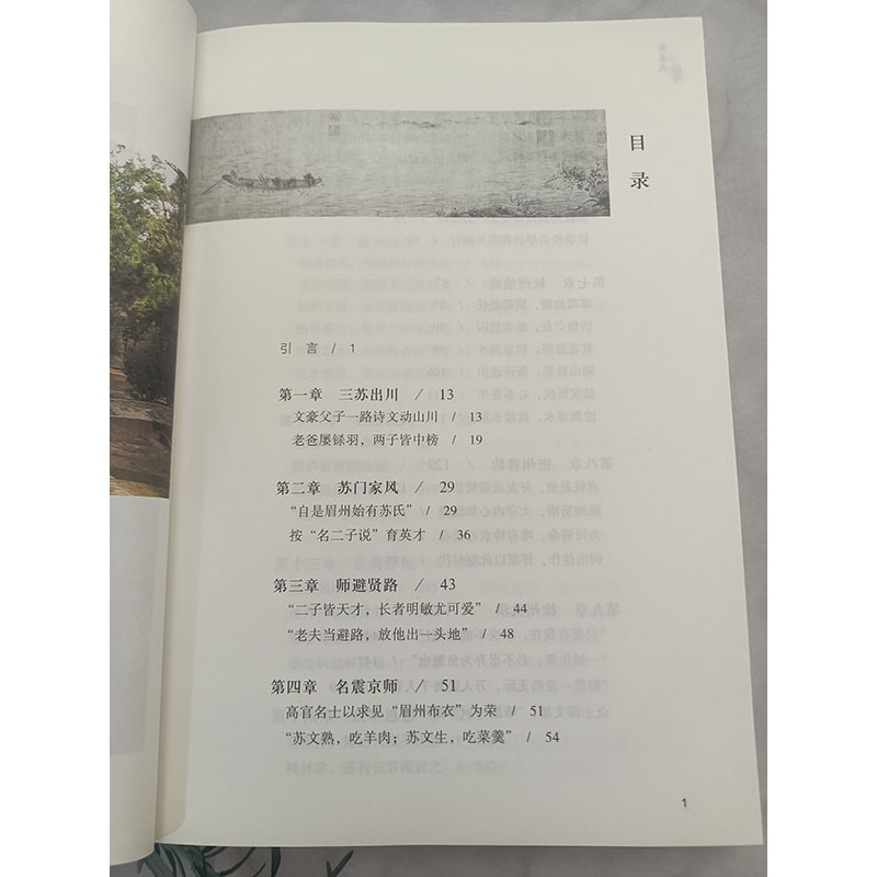 [正版] 苏东坡大传 历史人物传记书籍 国学名人传记 苏轼生平记事 苏轼官场仕途文学成就乌台诗案历史大事件通俗说史历史文高清大图