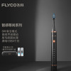 飞科(FLYCO)电动牙刷成人软毛充电式 成人学生 情侣款生日礼物送男女友FT7205 炫酷黑