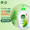 滴露 免洗洗手液经典松木500ml