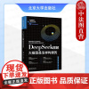 正版2025年新书 DeepSeek图解:大模型是怎样构建的 张治政 薛栋 公鑫 北京大学出版社 DeepSeek工具书