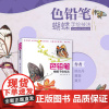 色铅笔蝴蝶手绘技法 彩铅画技法画画入门自学零基础书籍绘画插画初学者教程书彩铅手绘色铅笔涂色素材简笔画临摹画册教材减压书