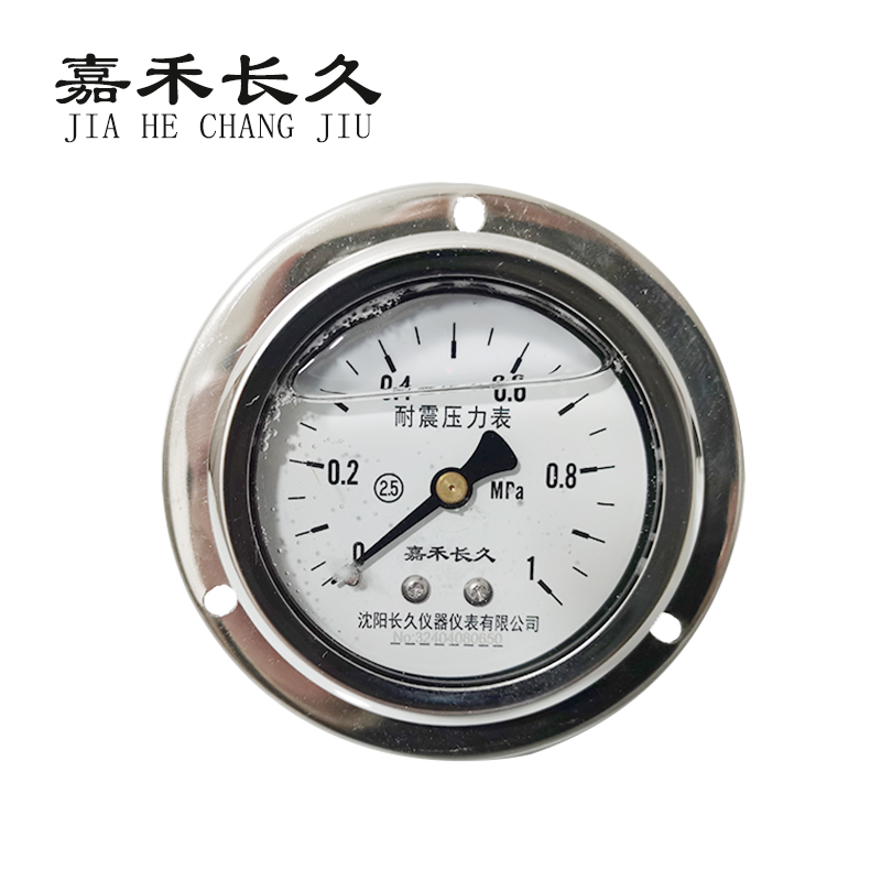 嘉禾长久/耐震压力表轴向带边/ YN60ZT/个高清大图