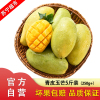 玉芒青皮芒果5斤装甜心芒新鲜采摘当季水果 单果250g起(拍两件合并发货,带箱10斤)