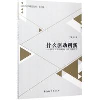 什么驱动创新 王京生 著 经管、励志 文轩网