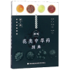 音像常用花类草图典编者:王柳萍//辛华//黄克南