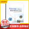 2025新书 特高压线路工程安全典型问题及防治措施 国家电网有限公司特高压建设分公司 中国电力出版社 特高压工程安全管理