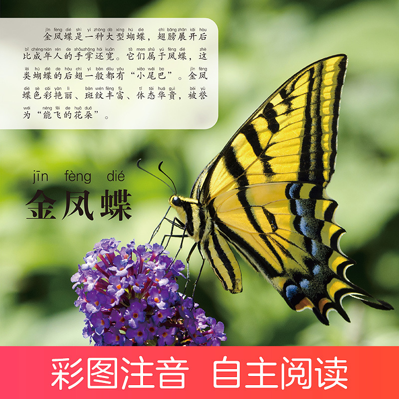 认功能车 [正版]爱德少儿童眼观世界8册4-8岁儿童看图识物书启蒙益智早教书百科全书大百科全套恐龙百科全书认识标志功能汽